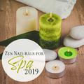 Zen Naturals for Spa 2019 – New Age Relaxing Nature Sounds Music for Wellness, Massage & Sauna