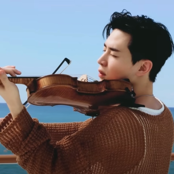 My Heart Will Go On Violin Cover