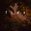 fine