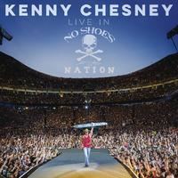 Kenny Chesney - There Goes My Life