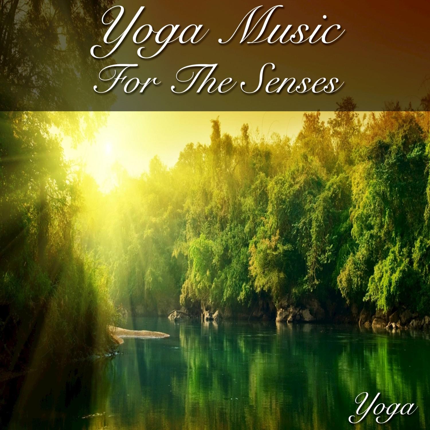 Yoga Music for the Senses专辑