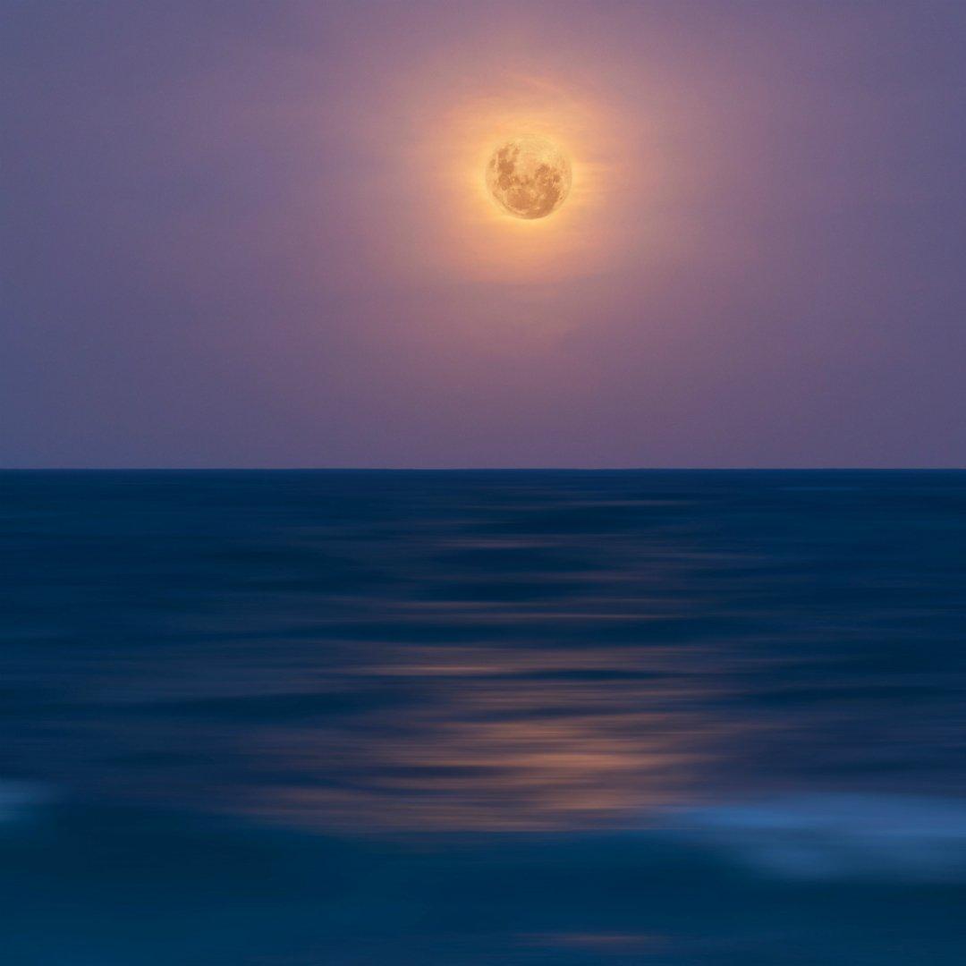 春风沉醉的夜晚，缠绵杯盏烛光