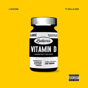 Ludacris - Vitamin D (Instrumental) 无和声伴奏