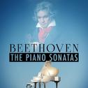 Beethoven: The Piano Sonatas