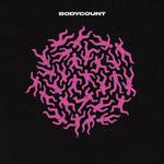 Body Count专辑