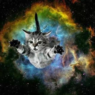 3..............................