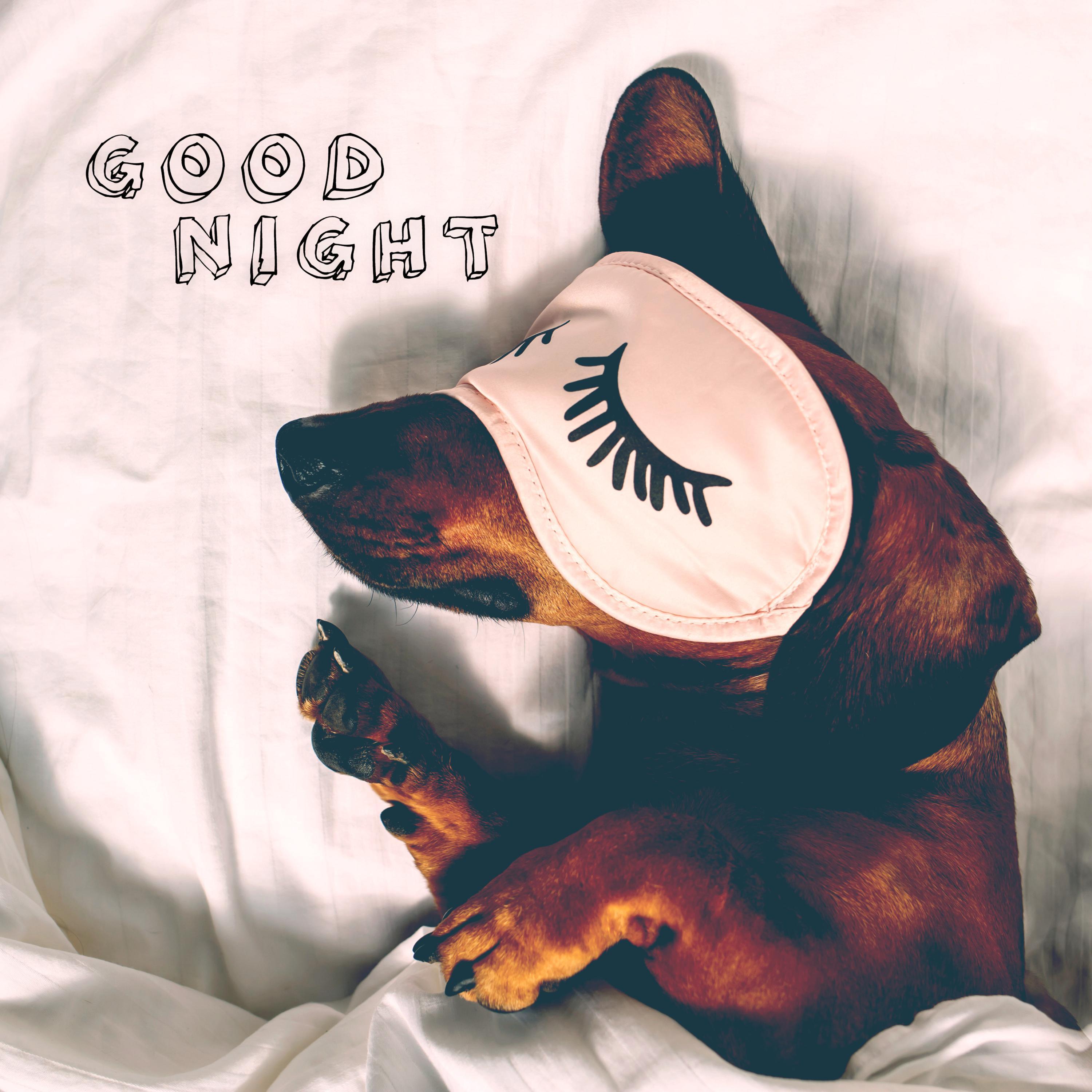Entspannungs und Einschlafgeräusche (Sleep Sounds)