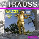 Strauss: Waltzes, Vol. II专辑