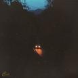 Night Drive