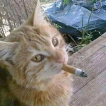 悲伤心事专辑