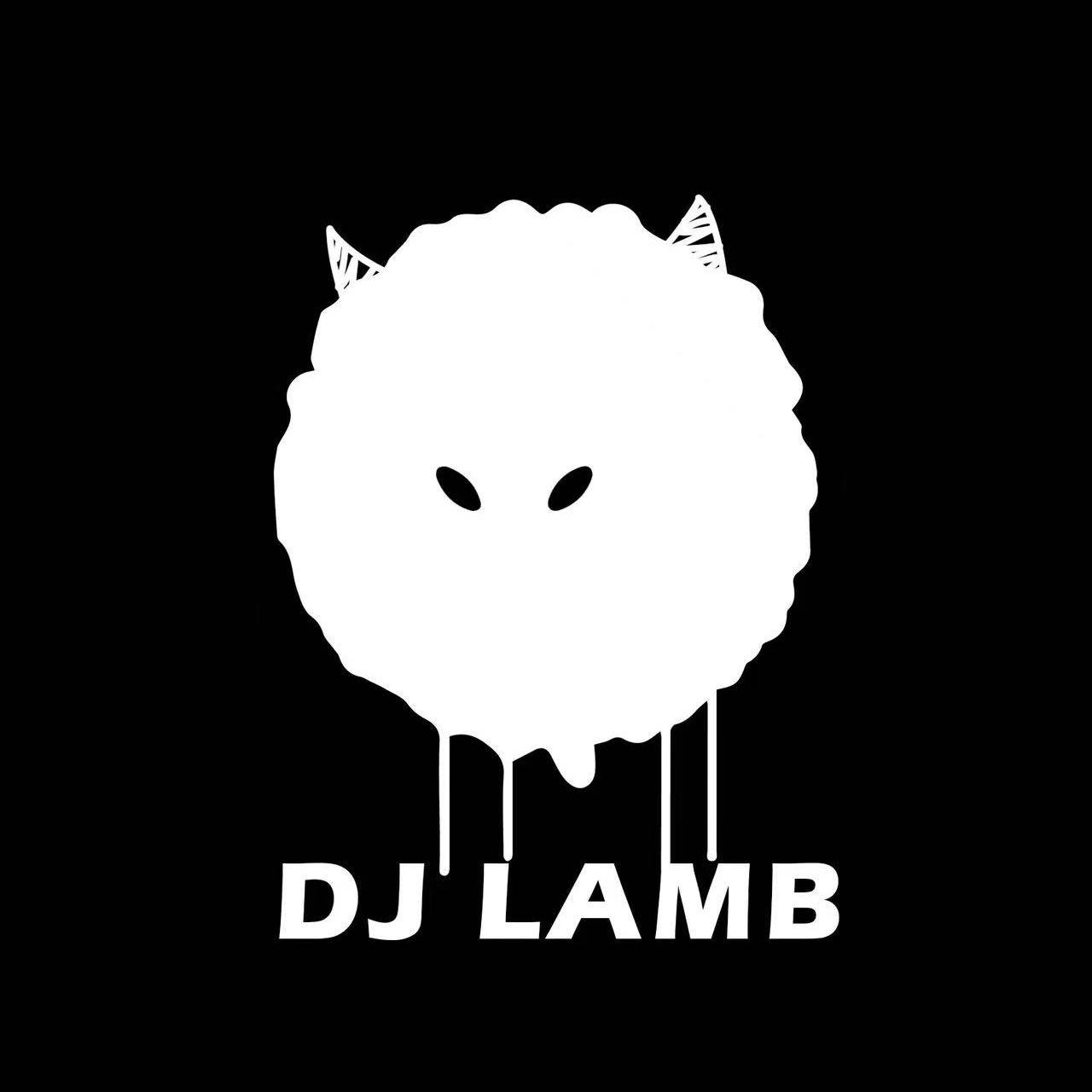 泰格西-维密秀DJ版