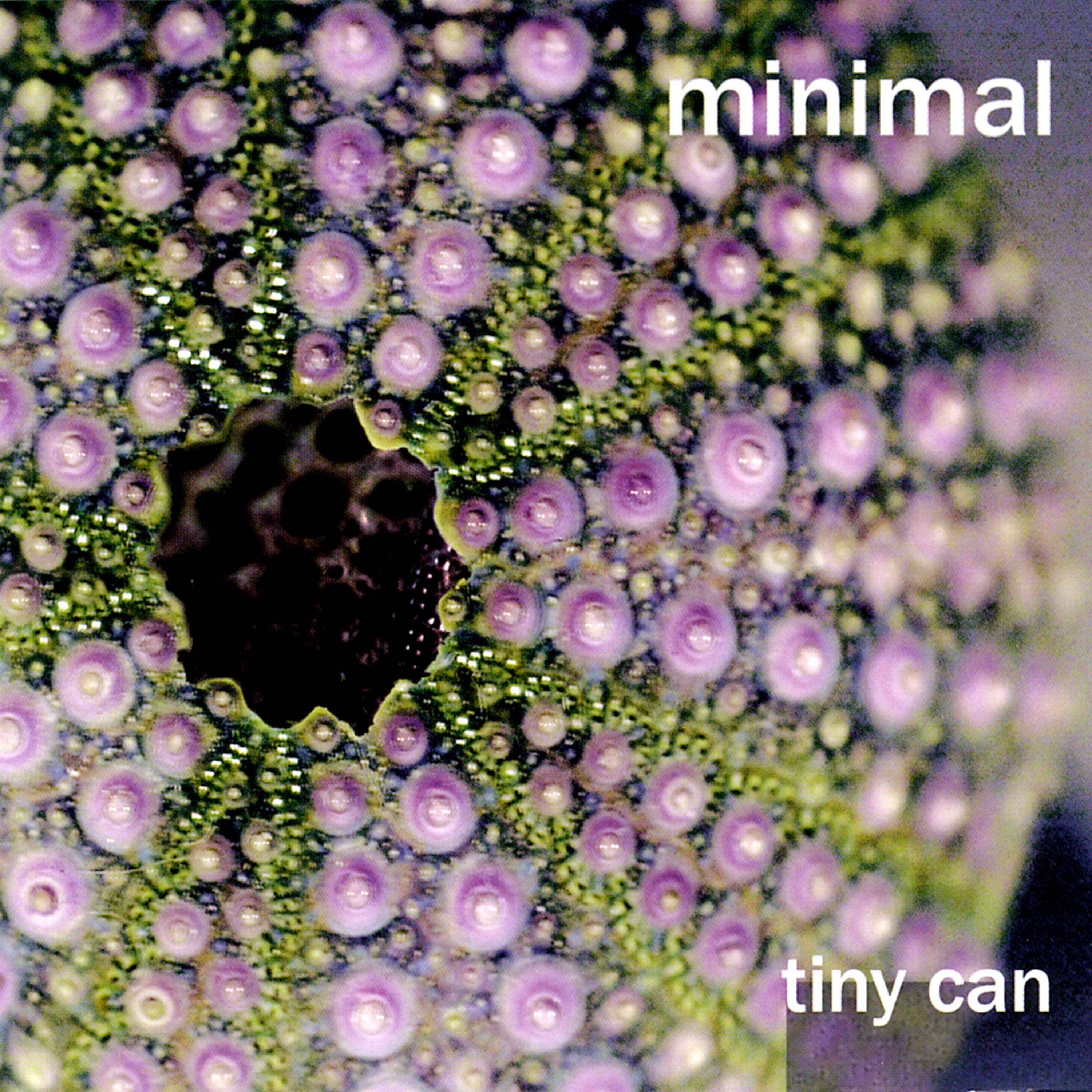 Tiny Can
