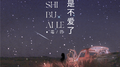只是不爱了专辑