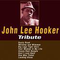 John Lee Hoker Vol. 1专辑