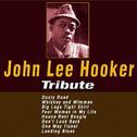 John Lee Hoker Vol. 1