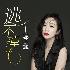 1068原子霏-逃不掉-DJ何鹏版(伴奏)