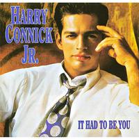 I Could Write A Book - Harry Connick Jr. (karaoke)