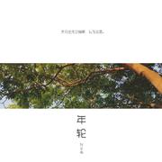 年轮