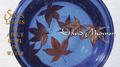 Seven Leaves in a Blue Bowl of Water专辑