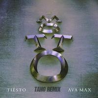 Tiesto & Ava Max - The Motto (Lianju & Hedclem Extended Remix) (Clean) 132