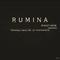 RUMINA -another​-​(​remix)专辑