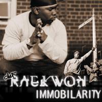 Raekwon - 100 Rounds ( Instrumental )