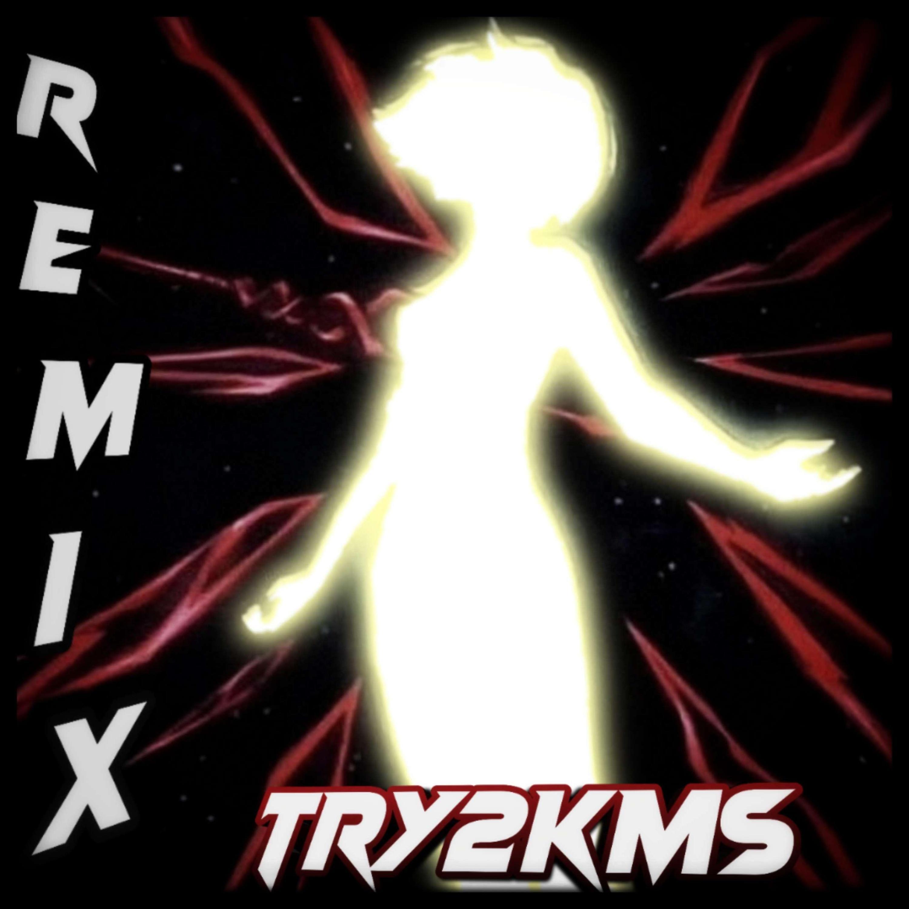 try2kms rmx (feat. leow & Stilllblood)