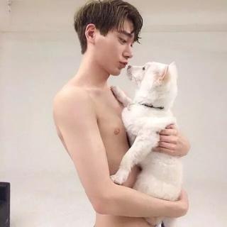 这些歌装作听不懂的样子