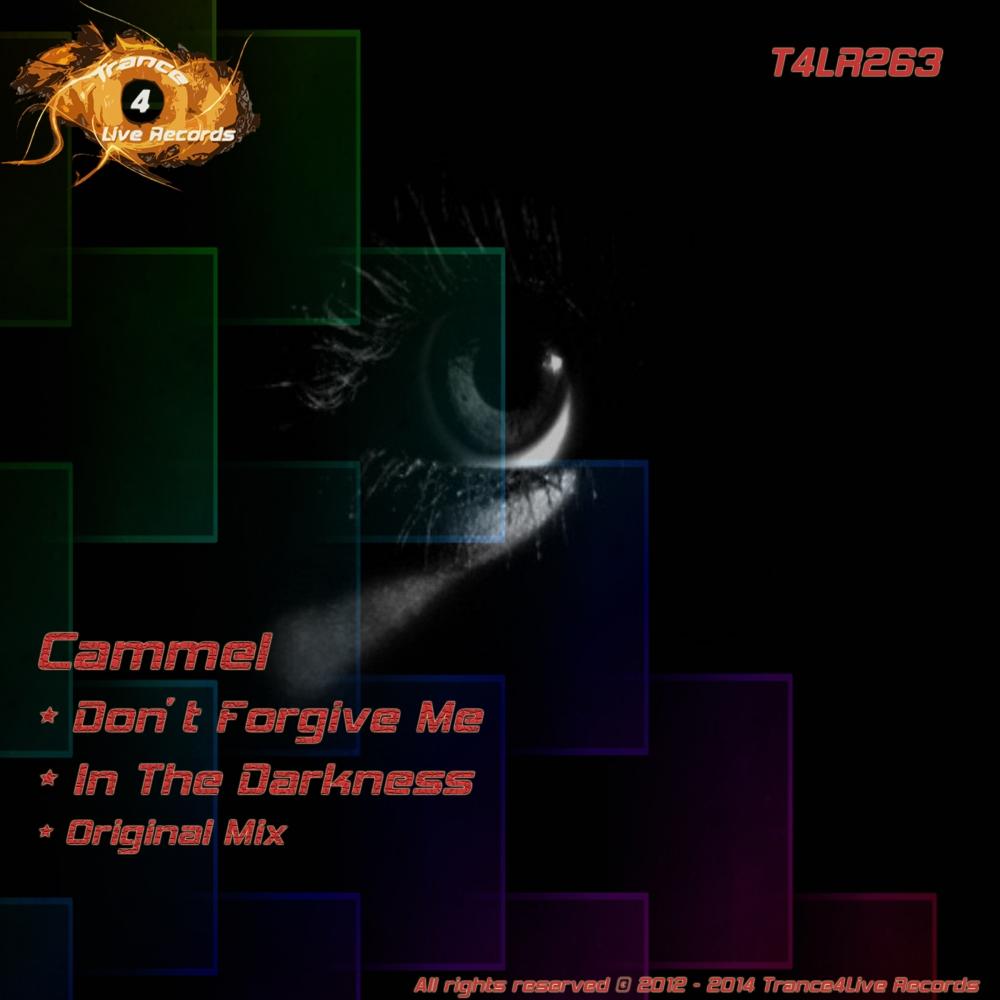 Don't Forgive Me / In The Darkness