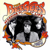 In The Morning Of My Life - Bee Gees (unofficial Instrumental)