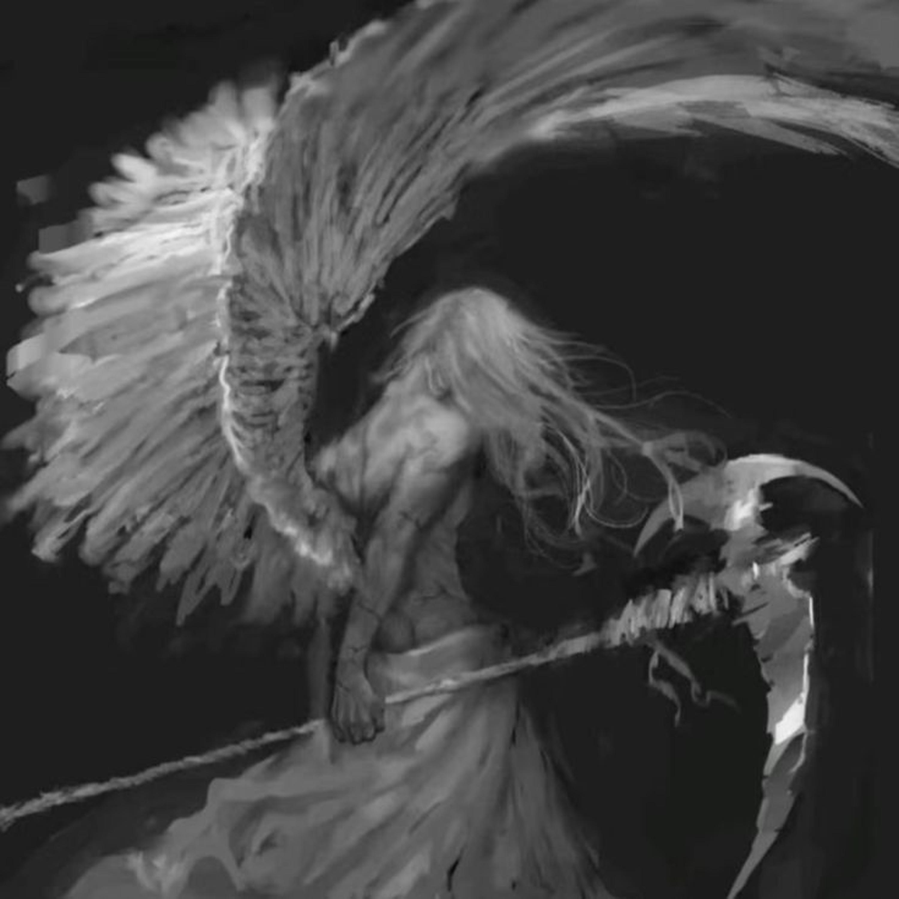 Tongue Tied Cayman Cline