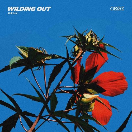 WILDING OUT（野蛮生长）