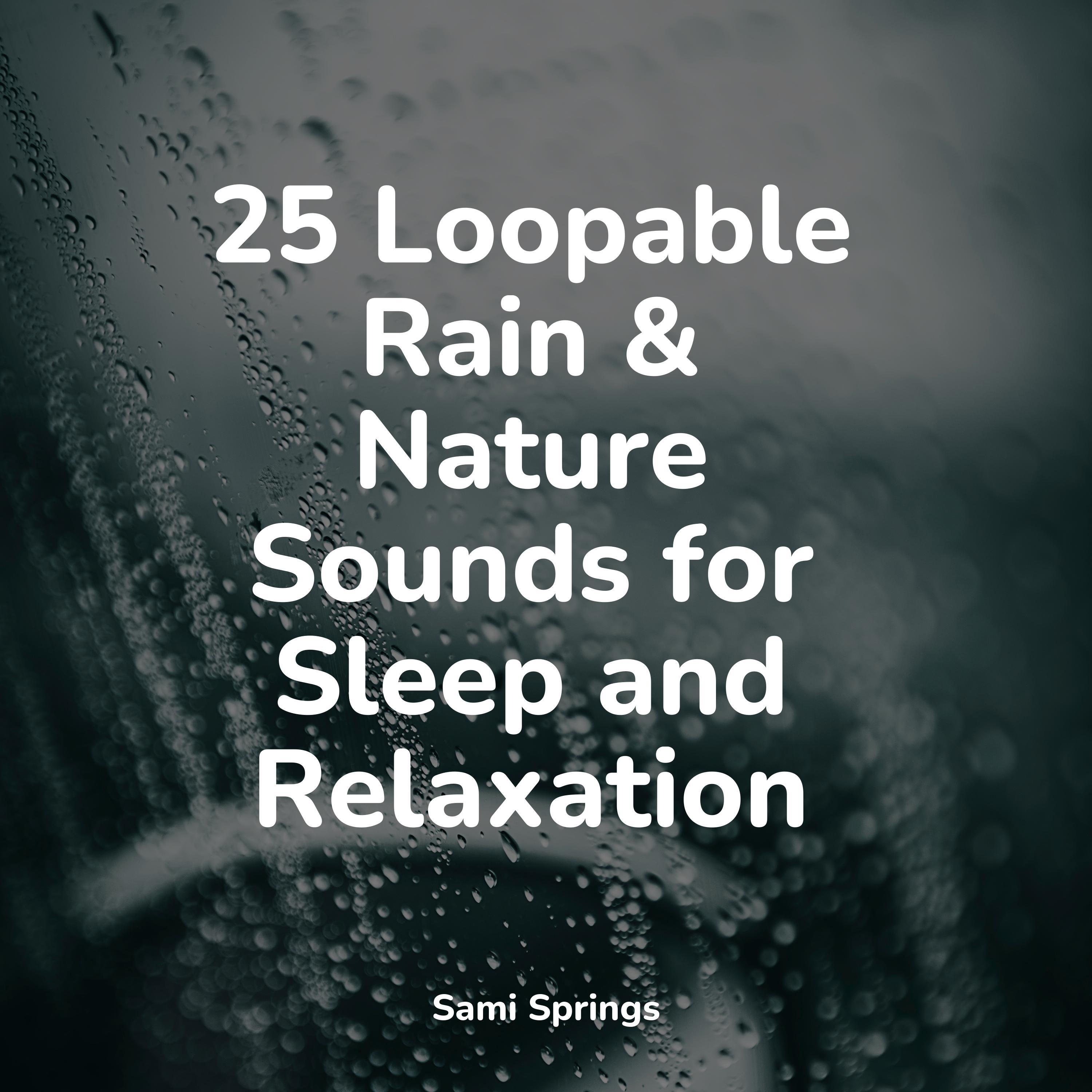 Rain Sounds Rain - Lapping Waves