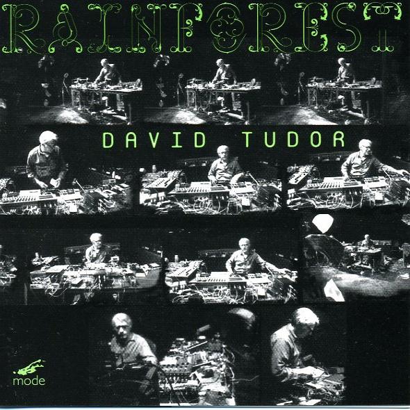 Rainforest
