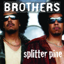 Brothers / Splitter Pine专辑