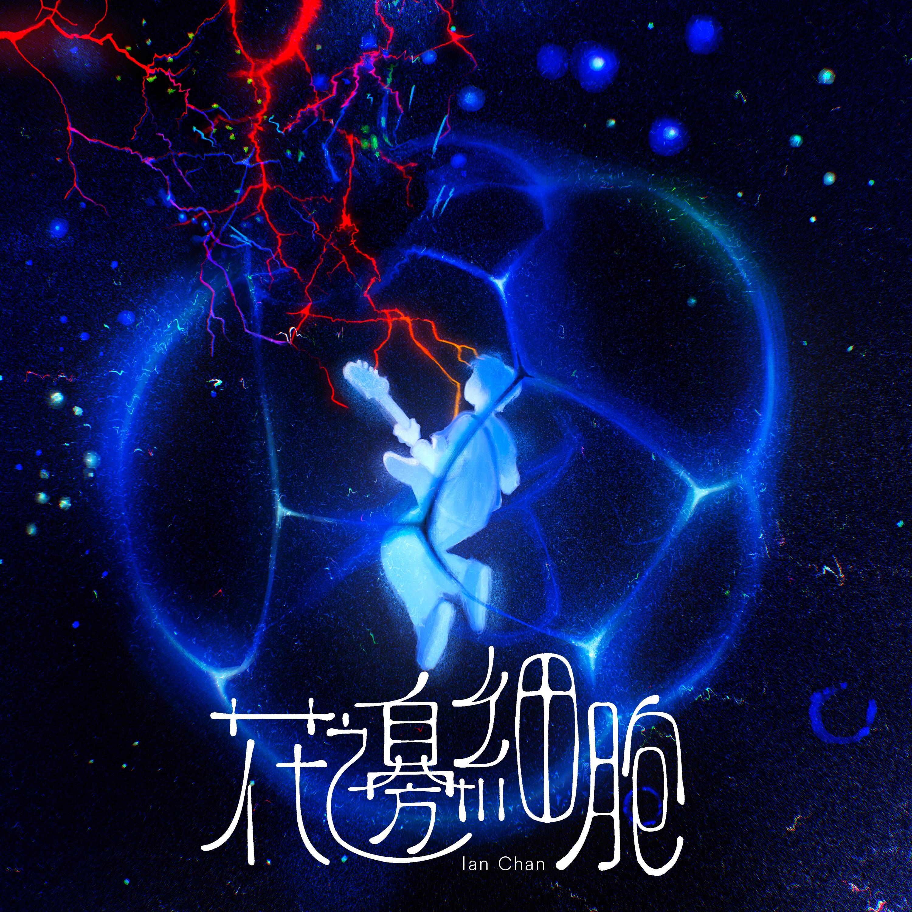 花边细胞