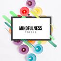 #18 Mindfulness Tracks for Meditation and Yoga专辑