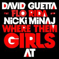 Where Them Girls At - David Guetta, Flo-Rida and Nicki Minaj (karaoke) 带和声伴奏