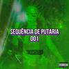 DJ TIUSSI - Sequência De Putaria 001