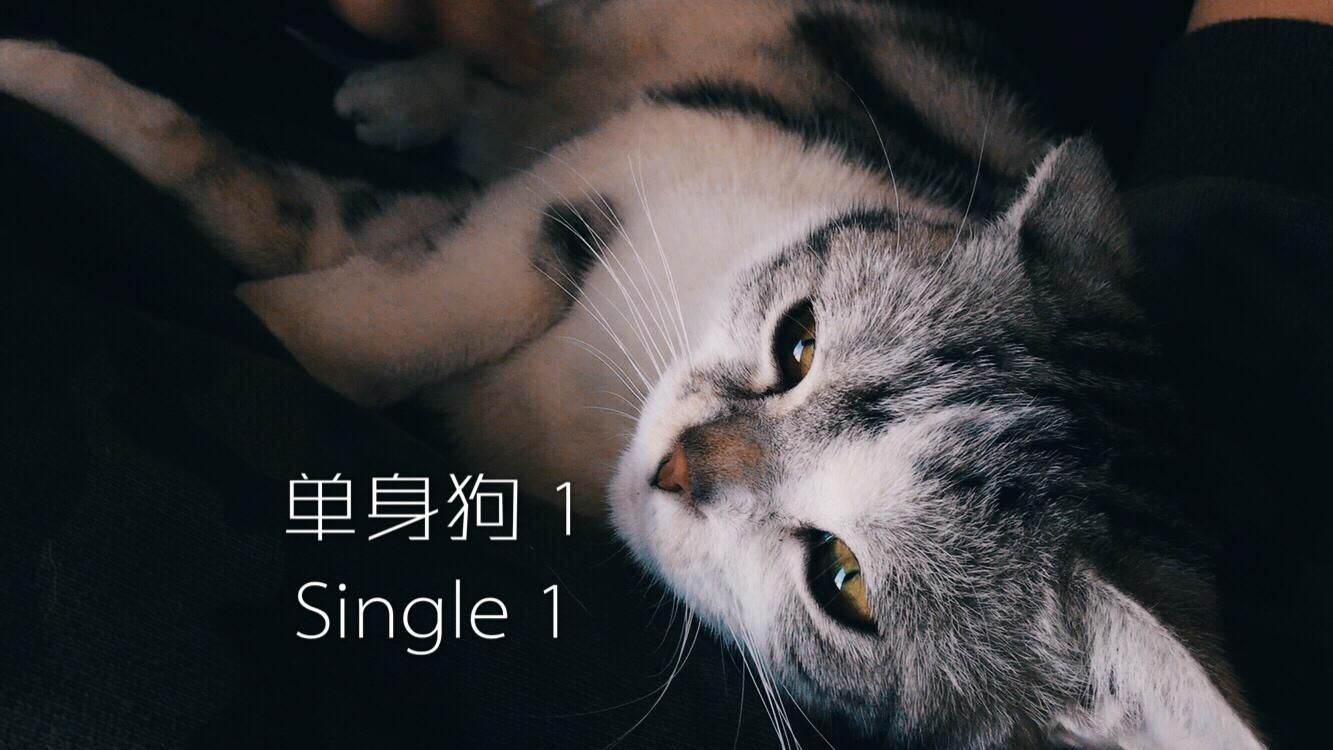 原创-单身狗1