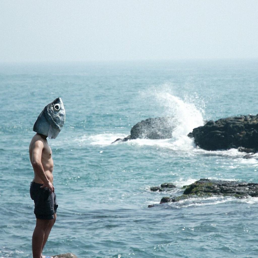 闽南语系丨乐队温柔不服输的海涌