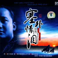 是不是因为我不够温柔-(降E调-金学峰变调伴奏)