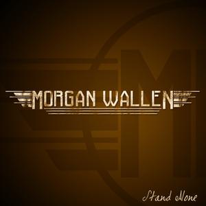 Morgan Wallen - Spin You Around (Karaoke Version) 带和声伴奏 （升3半音）