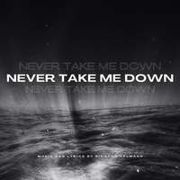 Never Take Me Down