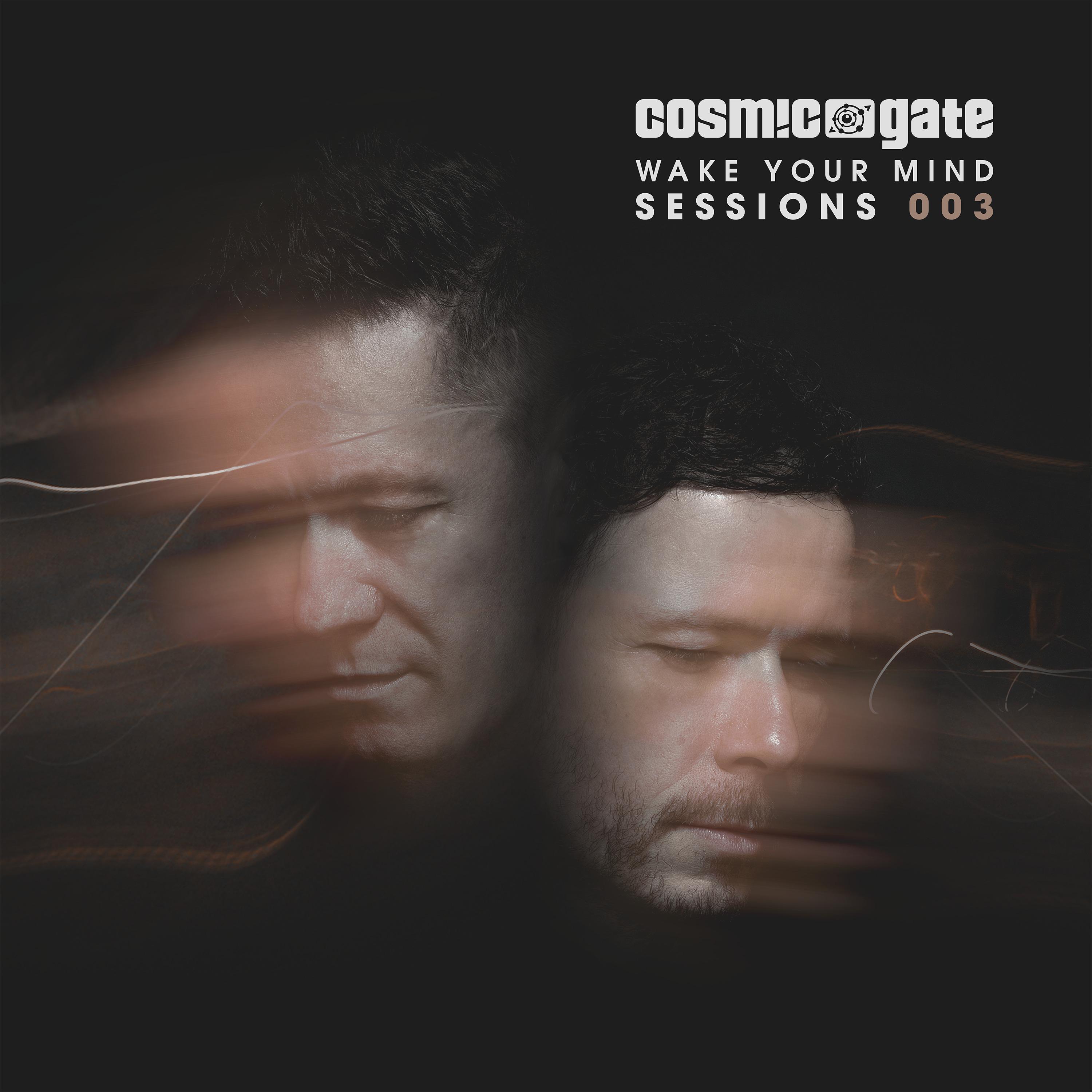 Wake Your Mind Sessions 003 (Continuous Mix)
