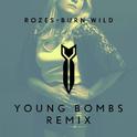 Burn Wild (Young Bombs Remix)专辑