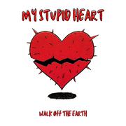 My Stupid Heart