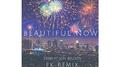 Beautiful Now(FK Remix)专辑