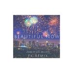 Beautiful Now(FK Remix)