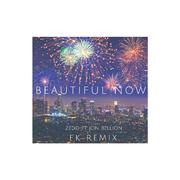 Beautiful Now(FK Remix)专辑